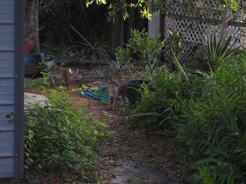 Picture 003